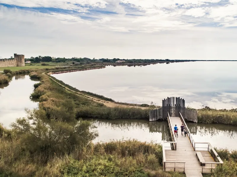 Étangs d'Aigues-Mortes sur La Méditerranée à vélo