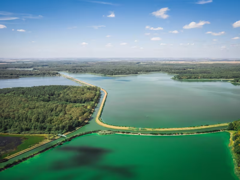 Etang de Gondrexange