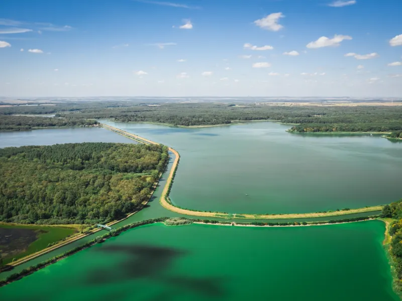 Etang de Gondrexange