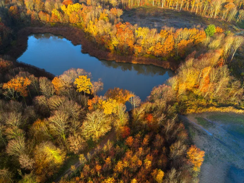 Etangs de la Bresse, vue drone