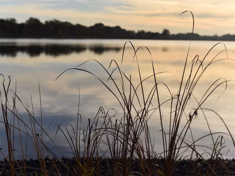 Etang des Landes