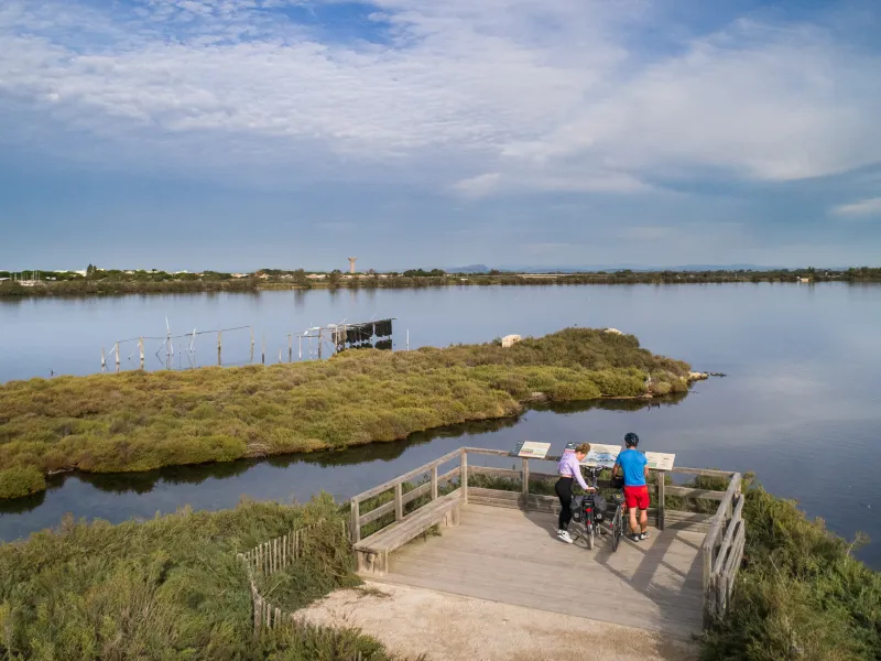Étang aux abords du Grau-du-Roi