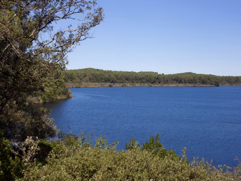 L'étang de Cousseau à Lacanau
