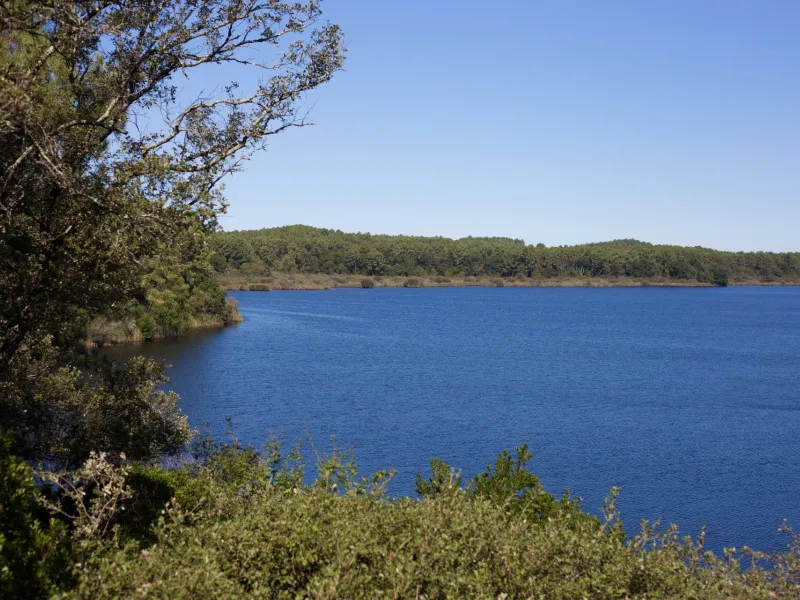 L'étang de Cousseau à Lacanau