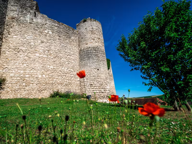 Billy et sa forteresse