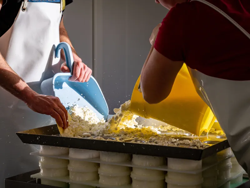 Fabrication de fromage à la ferme de La Mondière
