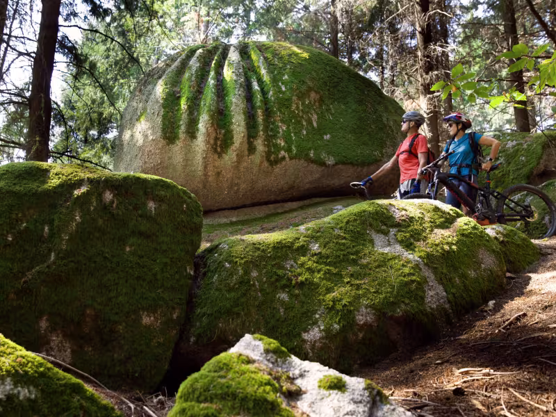 Les rochers du Carnaval dans la forêt d'Uchon