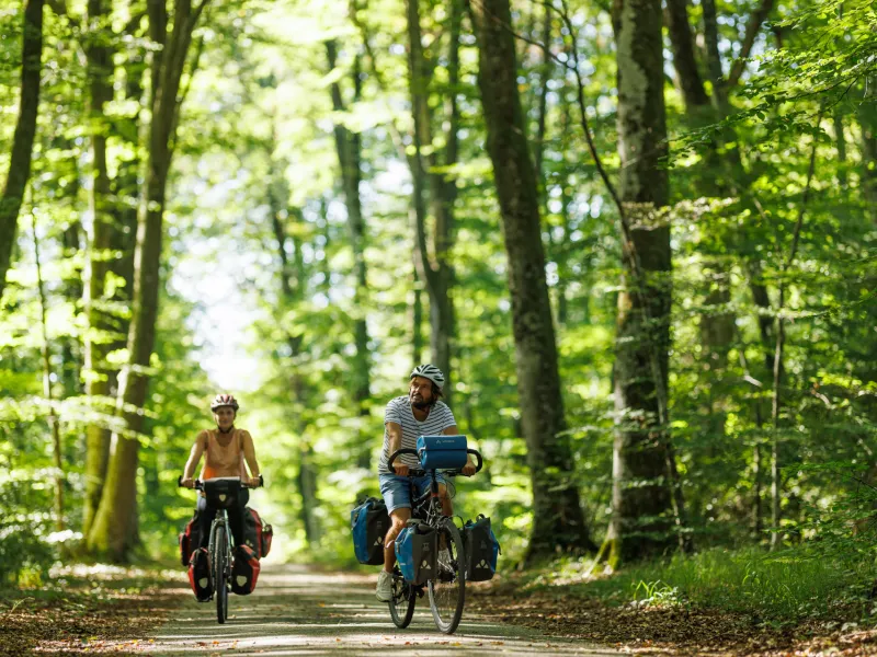 Forêt de Fontainebleau à vélo