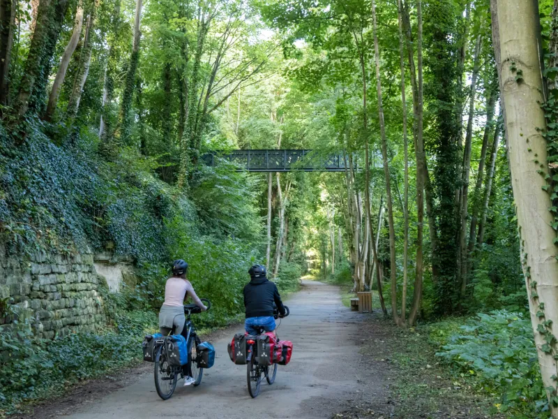 Dans la forêt d'Halatte à vélo sur La Scandibérique