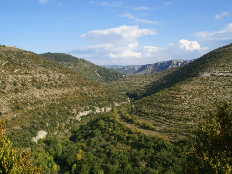 Les Gorges de la Vis à VTT