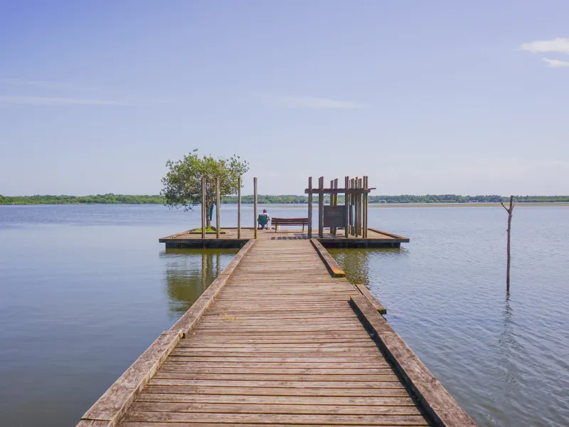 Etang de Soustons