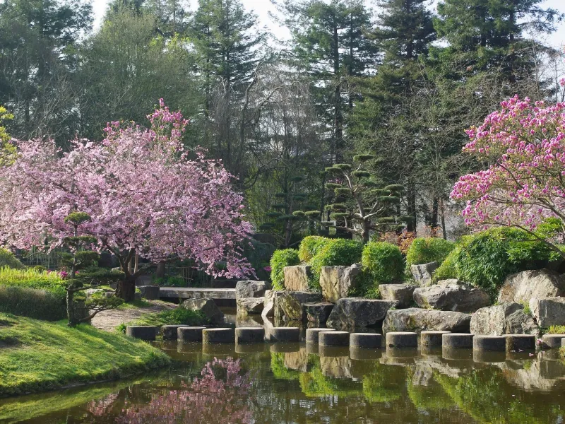 Jardin de l'île de Versailles