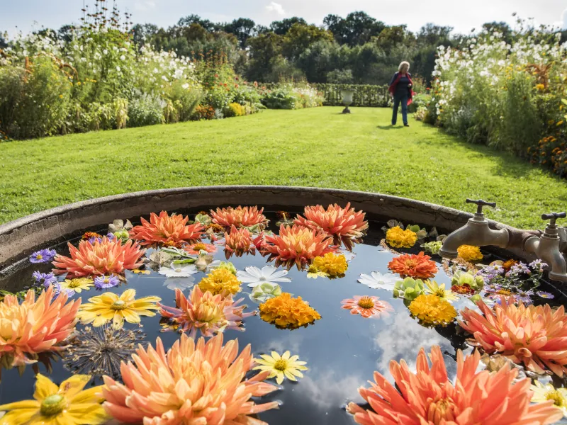 Les jardins du domaine Saint-Jean de Beauregard en fleurs