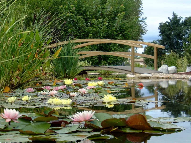 Jardins aquatiques à Saint-Didier-sur-Chalaronne