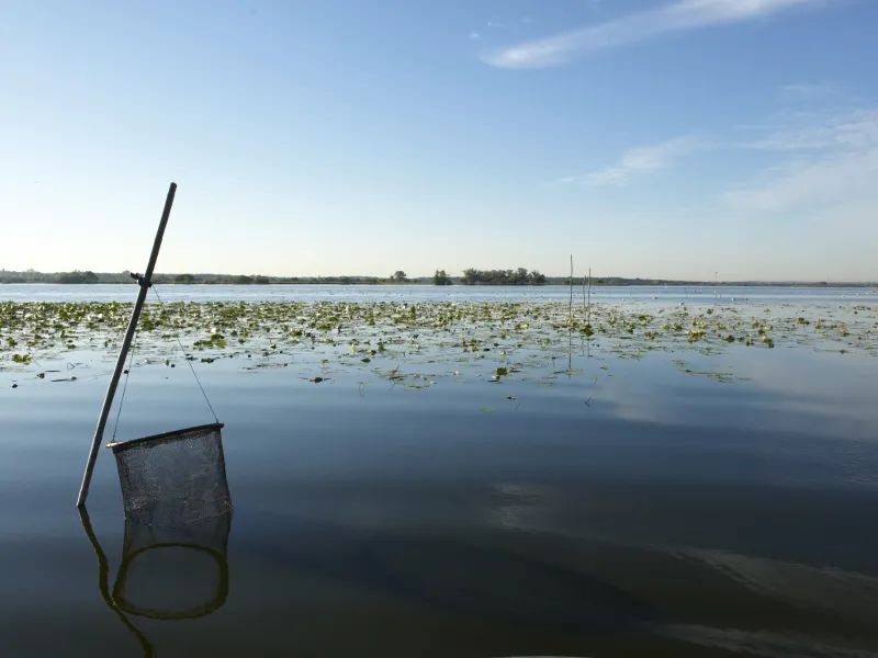 Lac de Grand Lieu près de Nantes