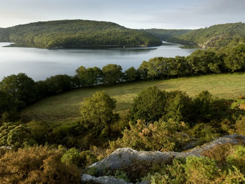 Guerlédan's Lake