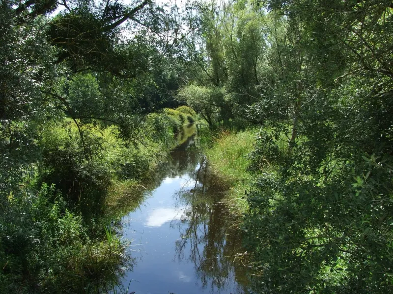 Vallée de la Conie