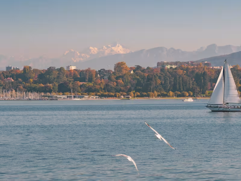 Le lac Léman et les Alpes au fond