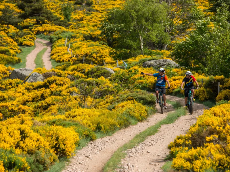 Les Cayres - Montselgues