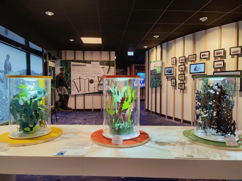 Maison de l'algue à Lanildut