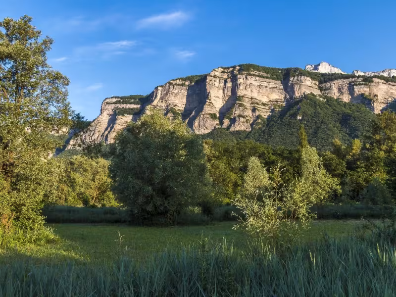 Le marais de Montfort