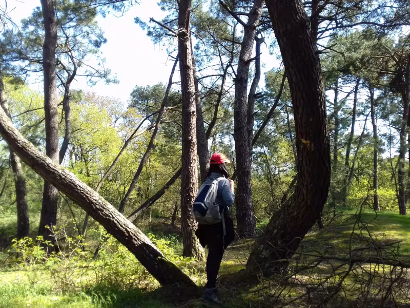 Randonnée à Moisdon la Rivière