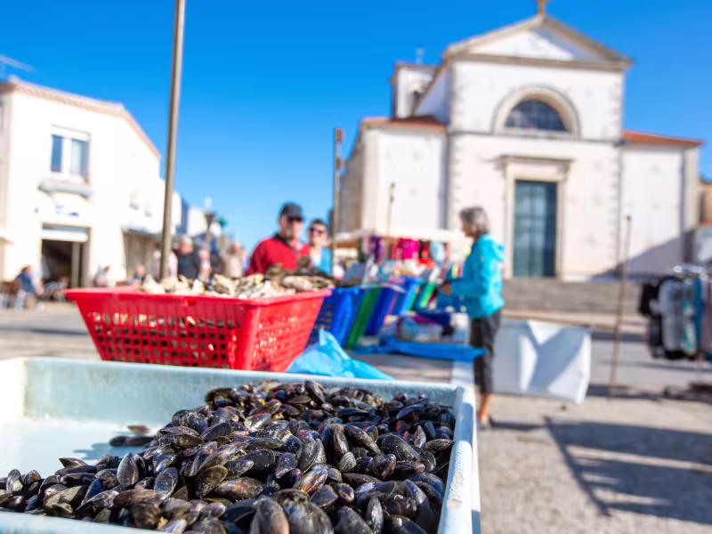 Moule de bouchots à Aiguillon sur Mer