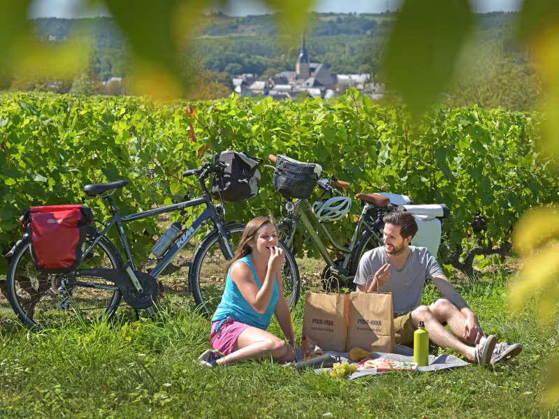 Picnic and cycling in the vineyards of the Loir Valley