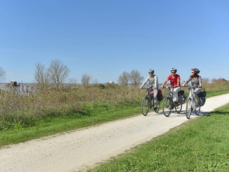 Piste Cyclable le long de l'estuaire de la Gironde