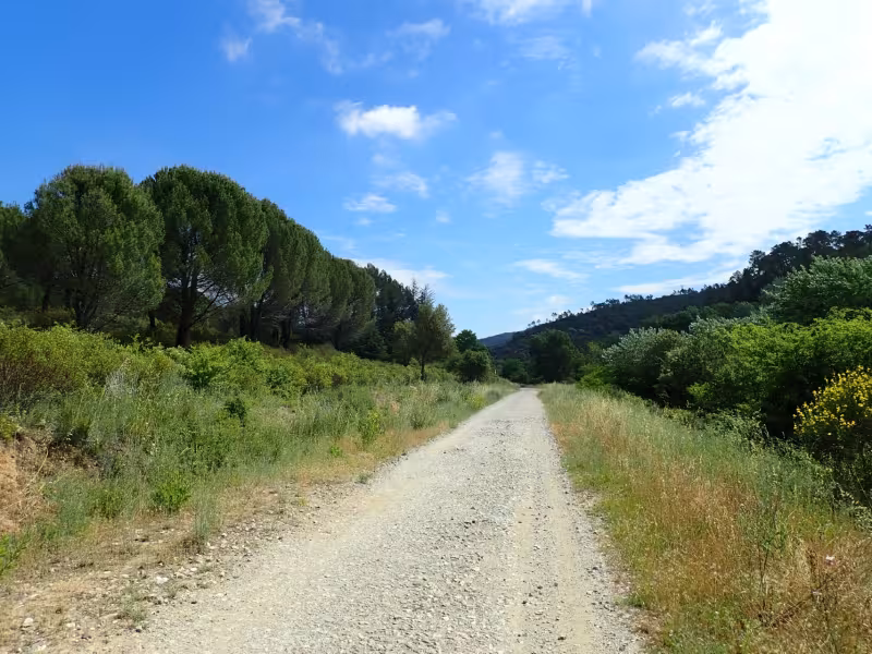 Piste gravel à Bagnols-en-Forêt