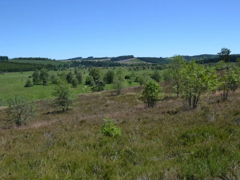 Le Plateau de Millevaches