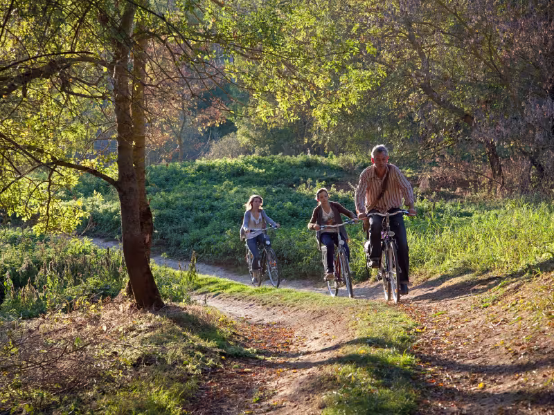Promenade à vélo en famille - Candes-Saint-Martin