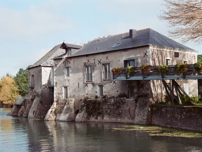 Rives du Loir en Anjou
