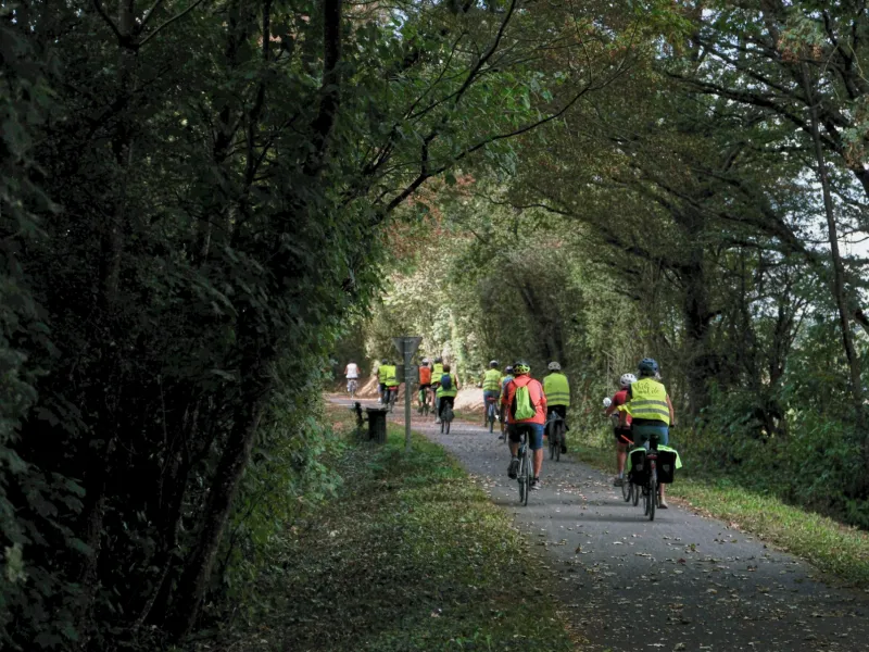 Voie verte ombragée du côté de Rougé