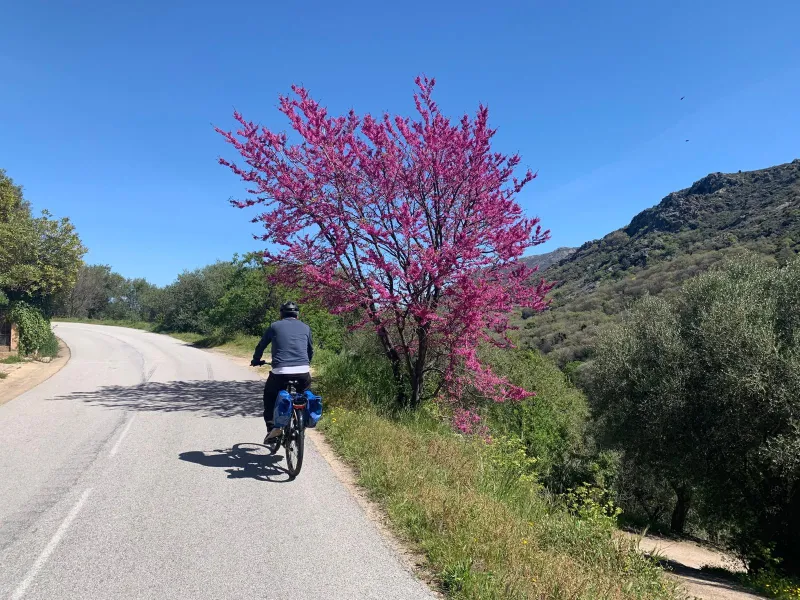 Route en balcon de Balagne