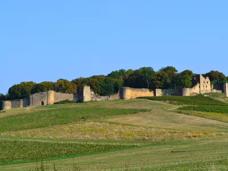 Ruines de l'enceinte du château d'Arlay