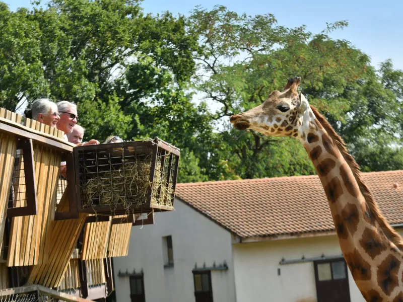 Safari de Peaugres
