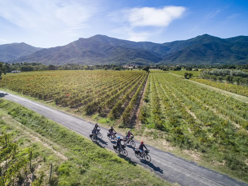 Au milieu des vignes à vélo à Saint Genis des Fontaines