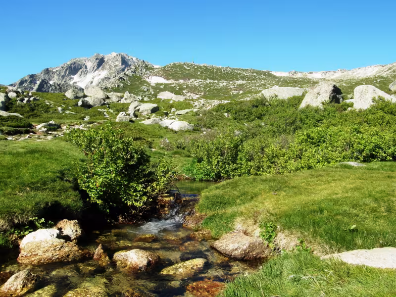 Sentier dans le monte Renoso