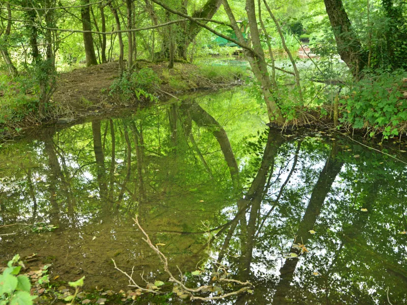 Sèvre Niortaise à Echiré - La Vélo Francette
