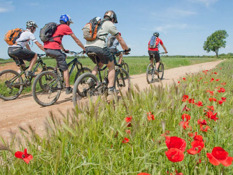 Vttistes sur le plateau de Valensole