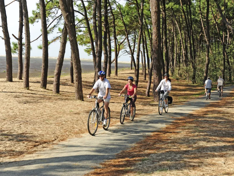 Vélo sur la Côte Sauvage dans la Forêt de la Coubre