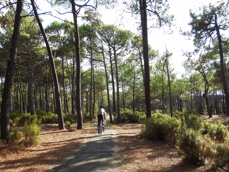Vélo dans la Forêt des Landes autour de Lacanau