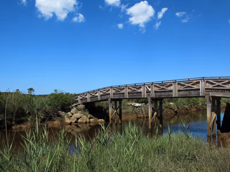 Vélo sur un pont en bois au Prés Salés d'Arès