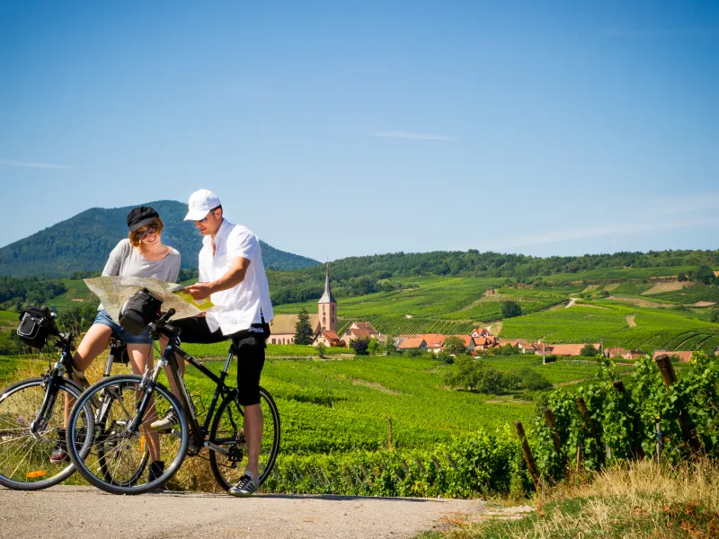 S'orienter sur la véloroute du Vignoble