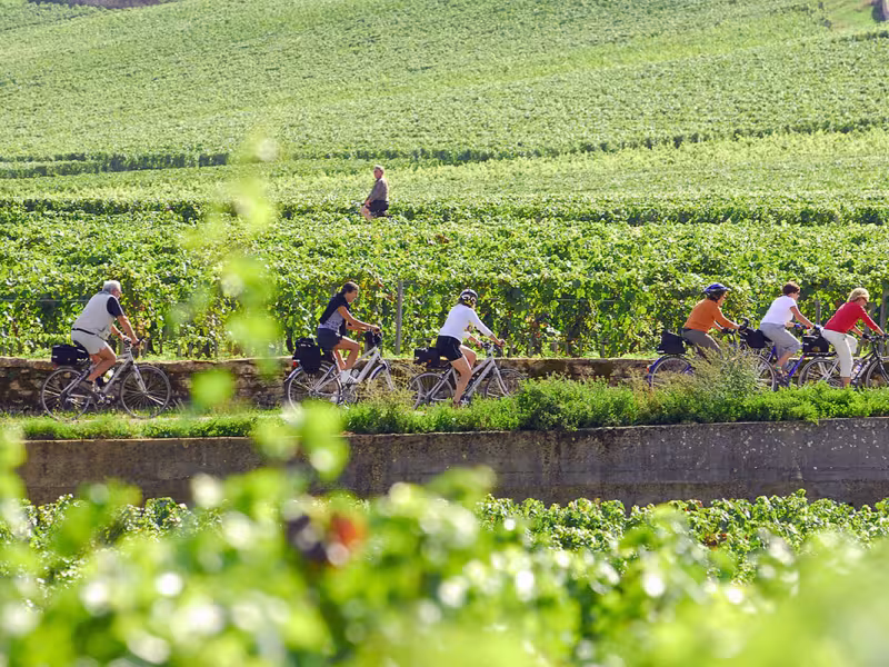 Vine route by bike in Burgundy