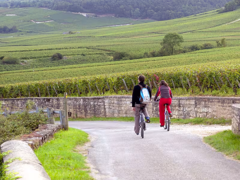Dans le vignoble à vélo