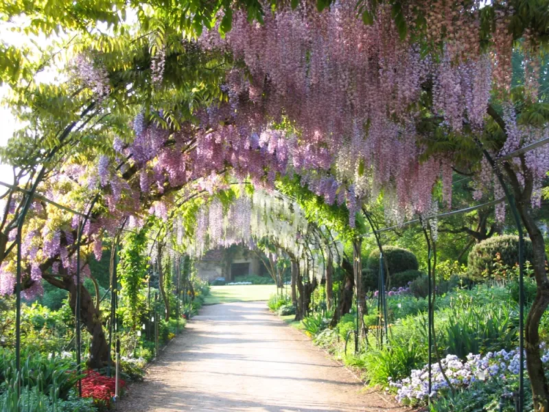 Les jardins d'Apremont-sur-Allier