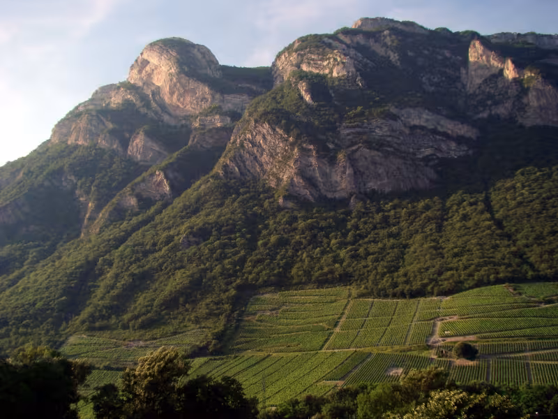 Vignoble de Montmélian la savoyarde