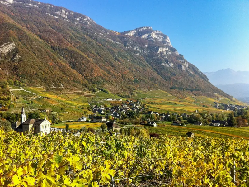 Coteaux des vignobles de Chignin